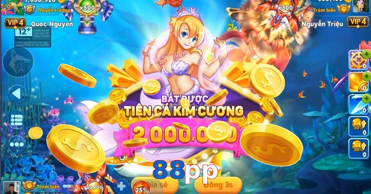 88pp