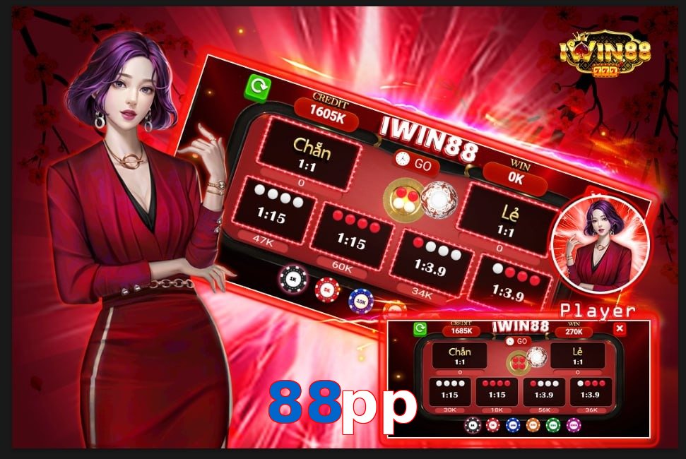 88pp