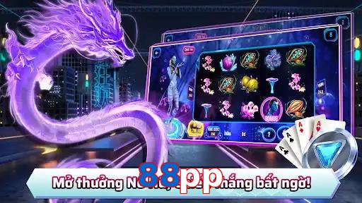 88pp